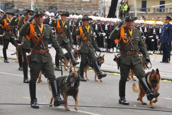 哥倫比亞警方帶著緝毒犬的英姿。（圖／翻攝自PolicíaNacionalde los colombianos /）
