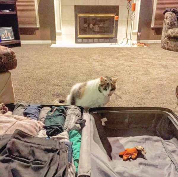 克里斯熱愛旅行，這次要出發前往義大利時，愛貓貝莉特地叼來最愛的猴子娃娃放到他行李箱裡，叫他帶著。