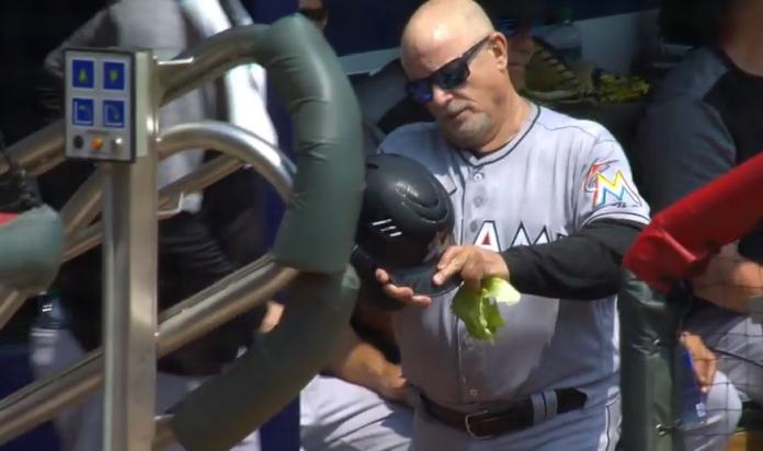 MLB／酷熱難耐　馬林魚教練用高麗菜降溫
