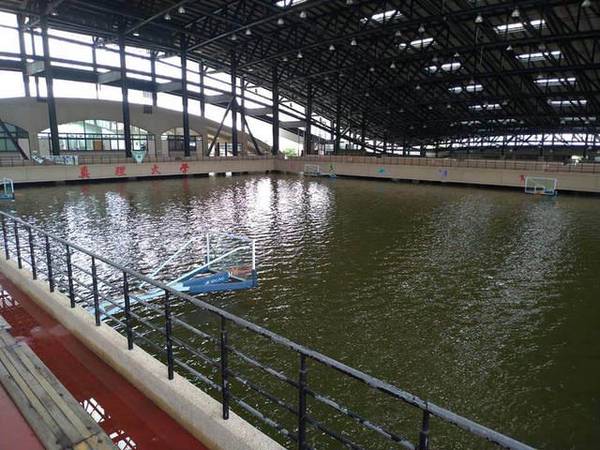 誇張！大學籃球場被淹成「游泳池」　網驚呆：以為釣蝦場
