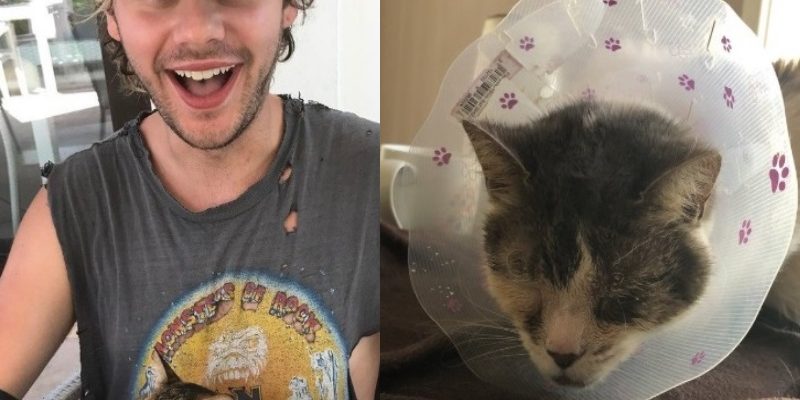 澳洲男團成員超暖心　捐錢幫助歌迷愛貓動手術
