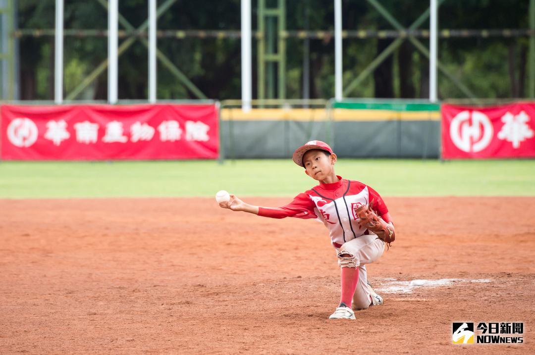▲東園「渡邊俊介」蔡博聿（圖／棒協提供）