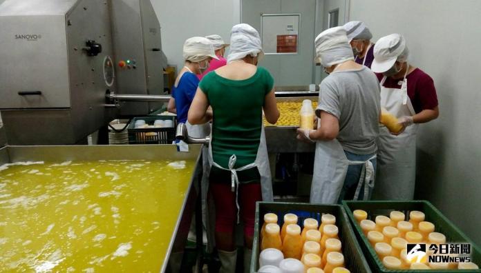 確保蛋品安全美味　雲林縣衛生局進行液蛋製造業稽查
