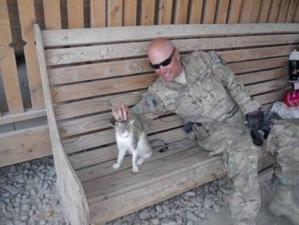 愛德華數年前在阿富汗服役時，遇到了一隻小浪貓，他為牠取名為捕鼠大師。