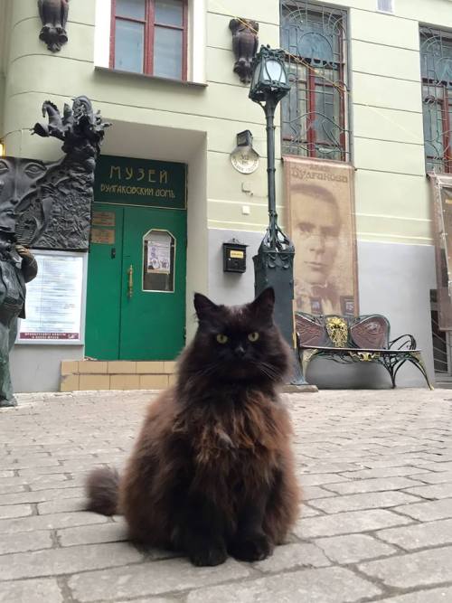 布爾加科夫是俄羅斯最具影響力和創造力的作家之一，在他的代表作「大師與瑪格麗特」中，有一隻黑貓叫做Begemot，牠用二隻腳走路，有時還會化為人形。也因此在他的故居博物館裡也養了一隻叫做Begemot的黑貓。
