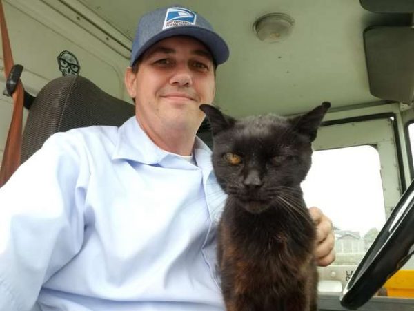 快遞員麥克四年前加入公司後，就在其中一條替代路線上遇到了一隻年紀看起來很大的黑貓Bijou。
