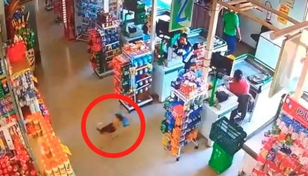 這宗竊案發生在巴西的一間超市裡，監視器拍下一隻汪星人咬著一袋麵包。