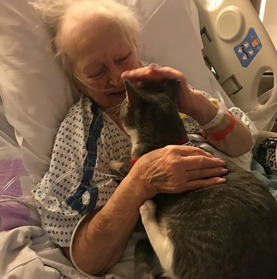 唐尼的奶奶在去年被診斷去罹患肺癌，醫生考慮到她已經88歲，認為手術對她負擔太大，便建議她接受5次化療後回家安寧照護。