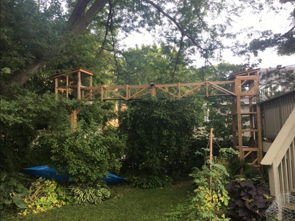 一名國外貓奴在自家庭園裡親手打造了一組超豪華貓樹屋。