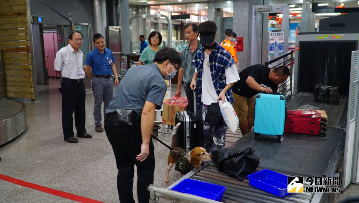▲防疫犬出動，敏銳嗅覺讓違禁品無所遁形(蔡若喬攝)