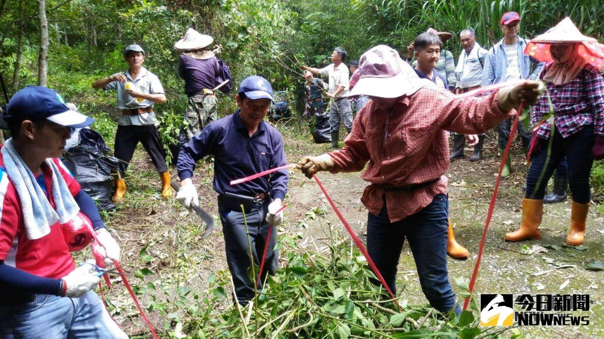 ▲嘉義林管處籲請大家一起來除綠癌。（圖/嘉義林管處提供，2018.09.12）