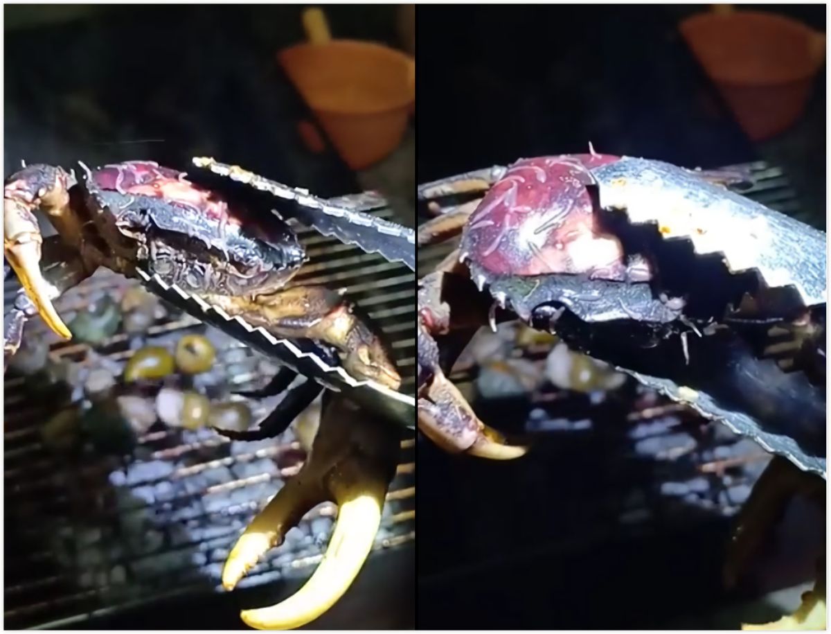 ▲火烤中的螃蟹身上竟竄出數十條呈乳白色半透明、疑似寄生蟲的不明生物，網友看了直嚷「超噁心」。（圖／翻攝自臉書）