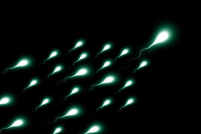 ▲研究指出「蝌蚪二軍」活動力較強，另一半的受孕機率相對增加。（示意圖／翻攝Pixabay , 2018.09.21）