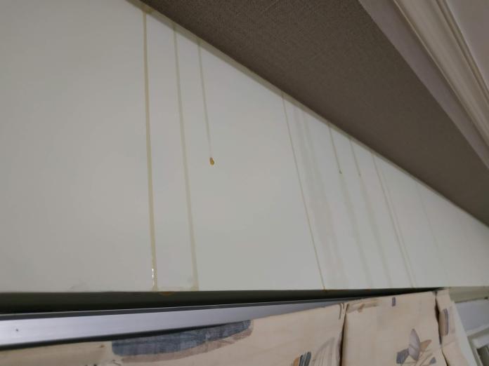 ▲ 黃澄澄的蜂蜜沿著牆壁流下，形成一道道蜜痕。（圖／翻攝自爆料公社）