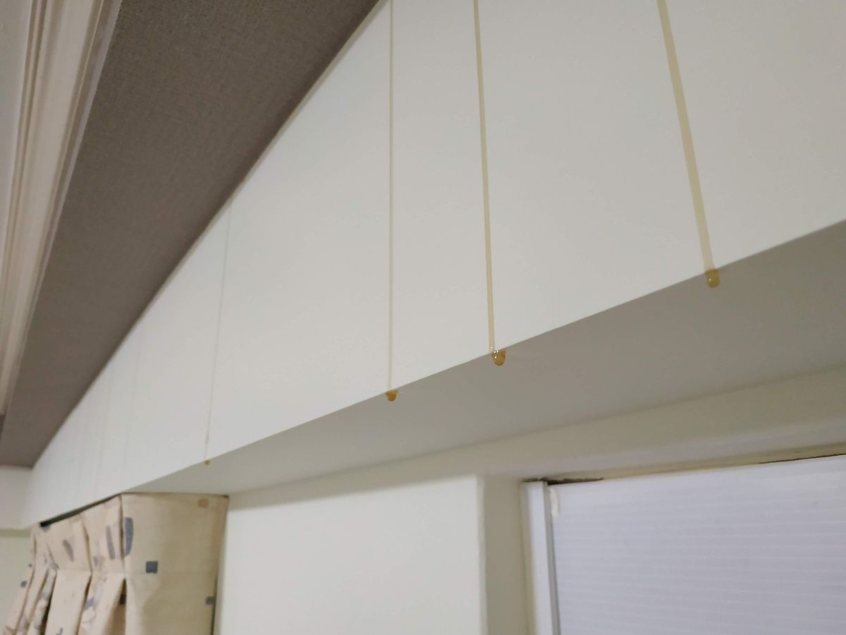 ▲ 蜜蜂在住家牆壁隔間築巢，蜂蜜竟從牆壁間流出。（圖／翻攝自爆料公社）