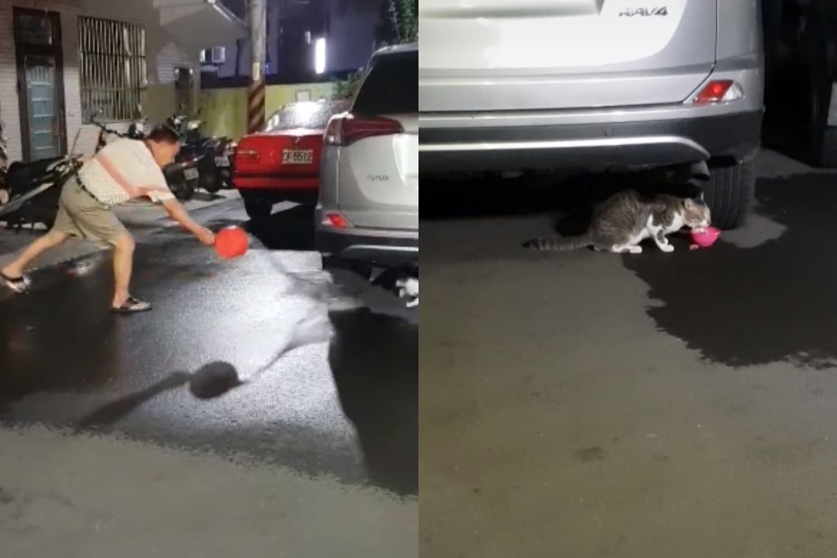  ▲男子用熱水往流浪貓潑去，引網友撻伐
。（圖／翻攝貓咪也瘋狂俱樂部 CrazyCat club臉書, 2018.09.28）
