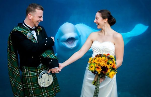 說到動物參與婚禮，最可愛就是這隻小白鯨了，喜歡湊熱鬧的牠看到人就會游過來，而新人們也開心與牠合照。（圖／Charle McCarthy/Weefan Photography）