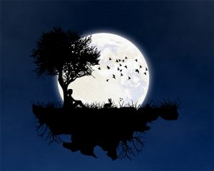 嫦娥、玉兔、蟾蜍跟月亮有什麼關係？（圖／pixabay）