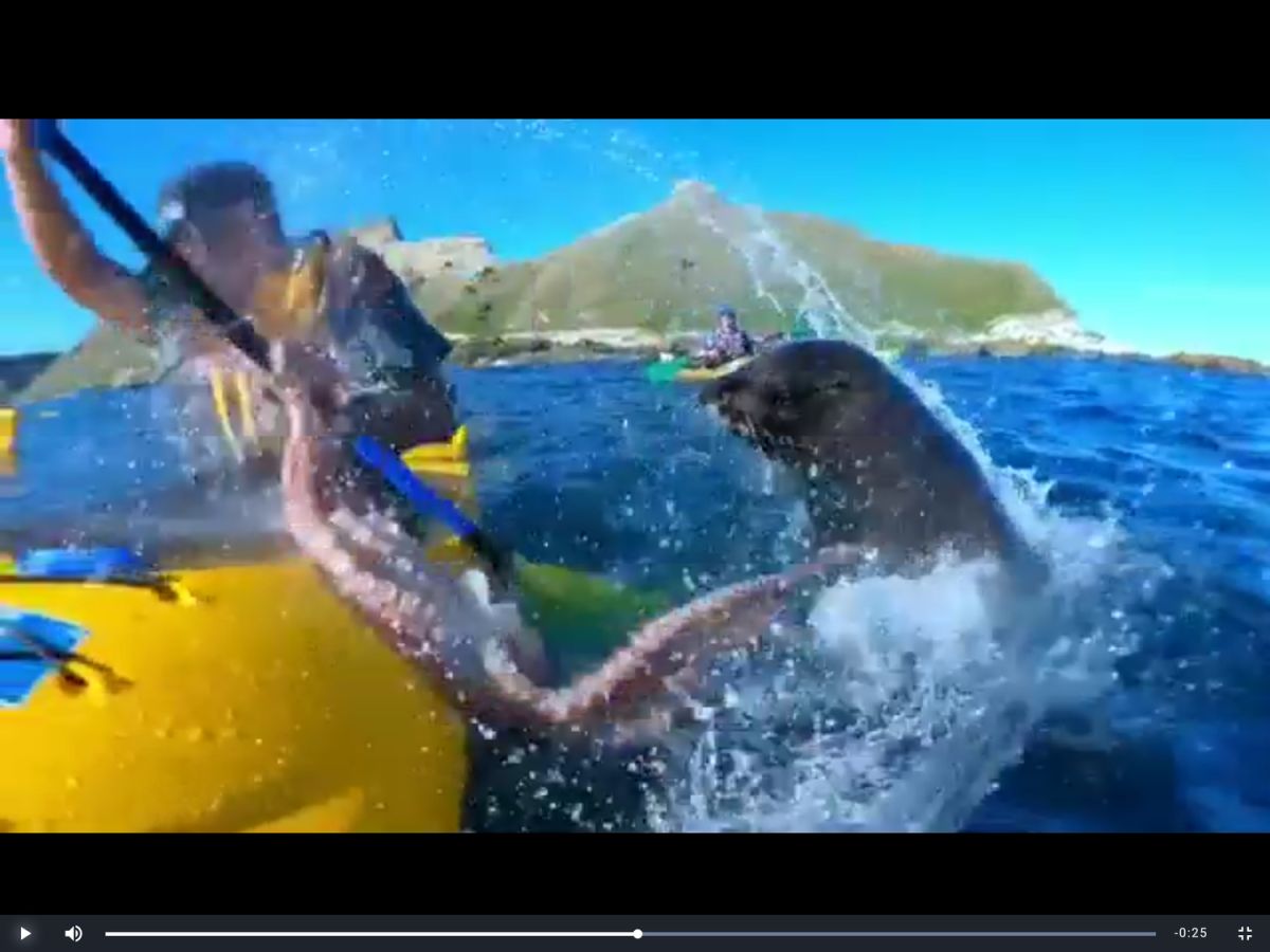 ▲ （圖／新頭殼）