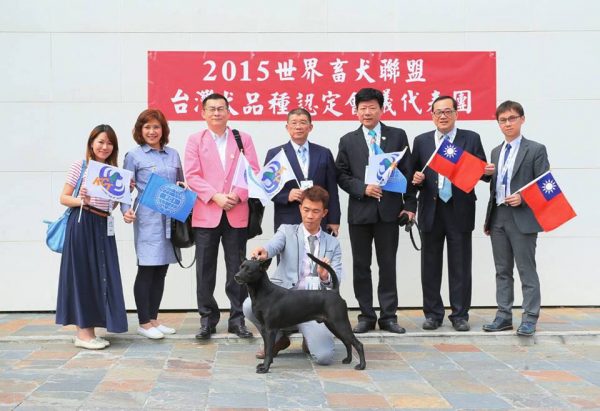 台灣土狗在2015年時已正式正名為台灣犬，成為國際認證的犬種！（圖／翻攝自社團法人台灣畜犬協會Kennel Club of Taiwan粉絲專頁）