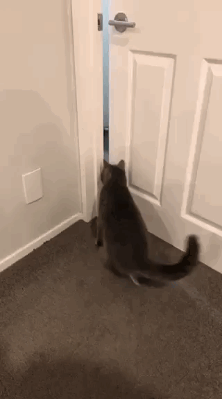 一個翻身把門撞開！