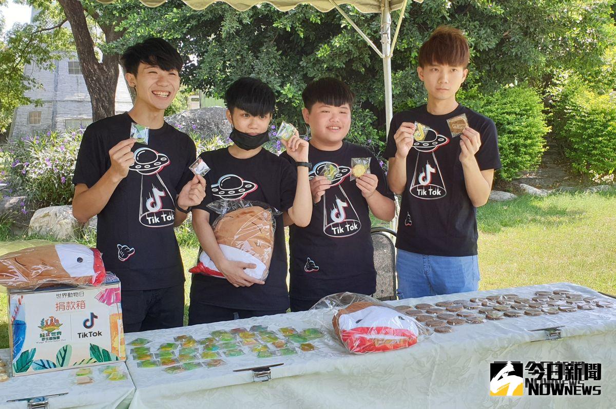 ▲TikTok與頑皮世界野生動物園合作，於世界動物日前舉辦義賣活動，並邀請TikTok熱門創作者云、哲哲（黃氏兄弟之一）、尼克以及承恩等人到現場，以園內特色場域為背景，拍下創意獨具的影片。（圖/TikTok）