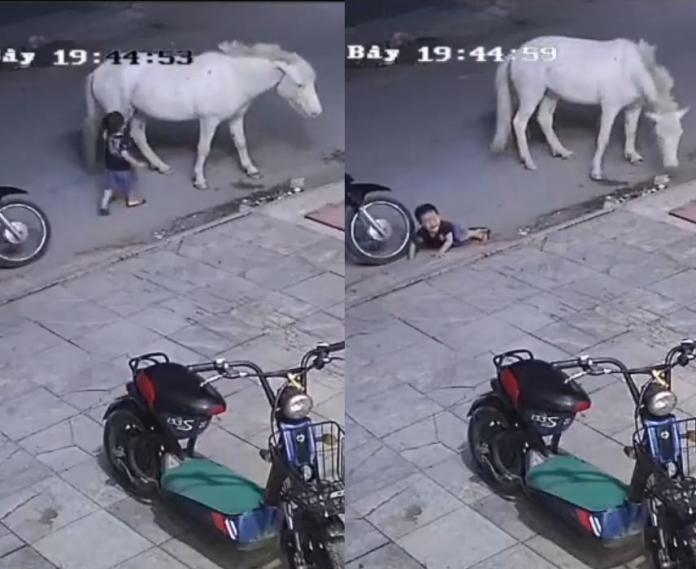 ▲越南一名小孩激怒白馬，結果被一腳踹飛撞到機車輪胎。（圖／翻攝自LiveLeak）