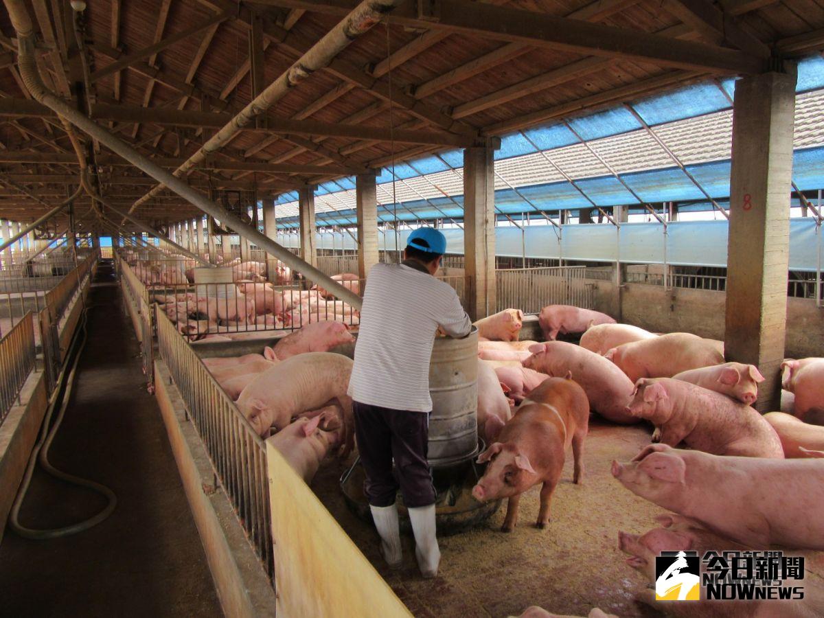 「農民職業災害保險」11月1日起開辦，即日起開放農民可至戶籍所在地農會申請。（圖／記者洪佳伶攝，2018.10.15）