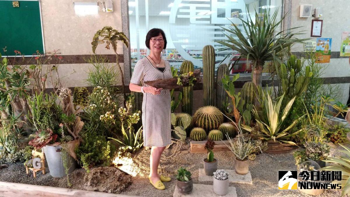 ▲田尾鄉農會將於20、21日舉辦第2屆「多肉植物暨仙人掌評鑑行銷」活動，歡迎來欣賞珍貴稀有的多肉植物仙人掌及花藝展示。（圖／記者陳雅芳攝，2018.10.16)