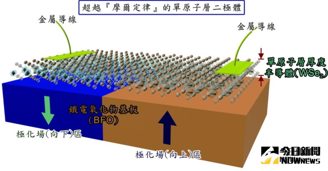 ▲單原子層二極體(圖/記者陳聖璋翻攝)