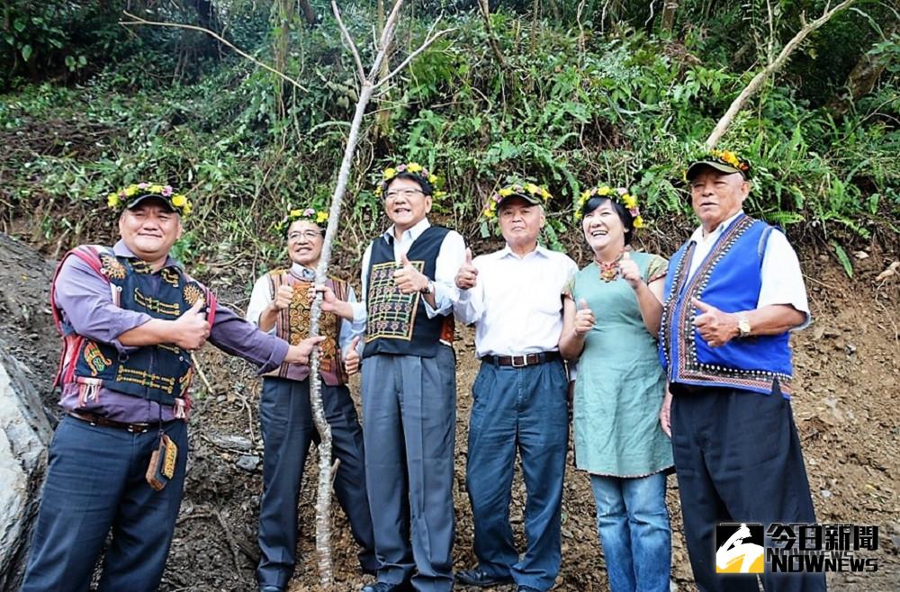 ▲縣長潘孟安與霧台鄉長杜正吉等人在井步山親自種下櫻花樹。(圖／記者陳宗傑攝,2018,10,22）