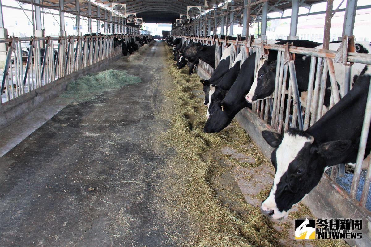 ▲萬丹畜牧業者與社區自主成立河川巡守隊，公私協力從源頭解決污染。(圖／記者陳宗傑攝,2018,10,25）