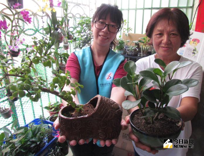 68歲銀髮阿嬤陳秀卿學行銷　賣缺陷美盆栽
