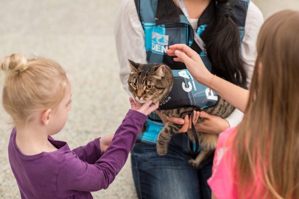 虎斑貓Xeli在領到Pet Partners所頒發的治療動物認證後，就加入了丹佛機場的CATS計劃，成為治療貓負責療癒旅客。目前這項計劃的治療動物中只有牠一隻貓咪。