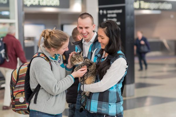 在人類夥伴的協助下，這隻12磅的可愛萌貓每天上班二小時，提供牠的摸摸抱抱及呼嚕嚕服務，紓緩旅客們的情緒。
