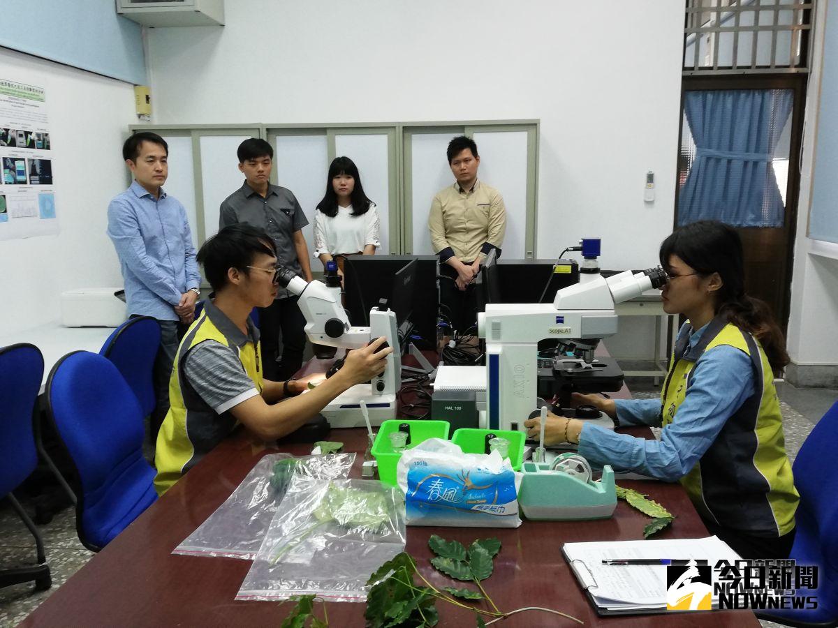 ▲嘉義大學設立植物教學醫院，將培養植醫系的學生成為獨當一面的植物醫生。（圖/記者邱嘉琪攝，2018.11.01）