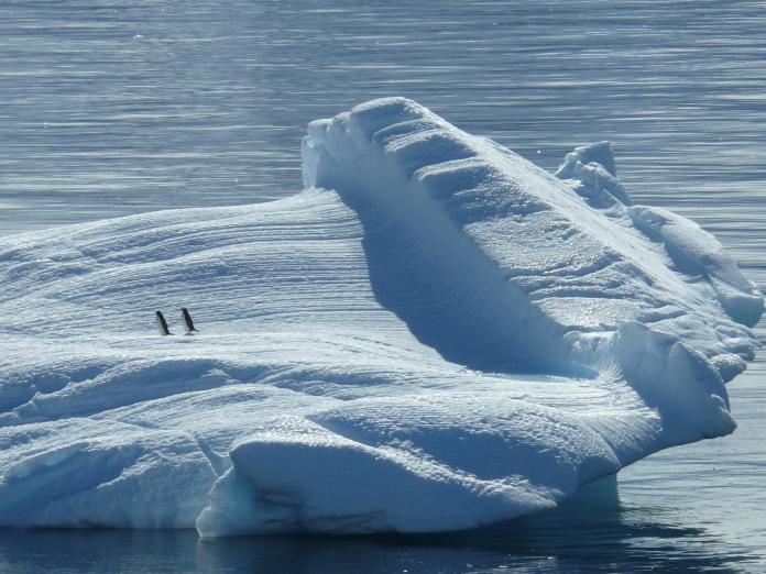南極因地形、環流封閉等原因，氣候比北極還要更冷。