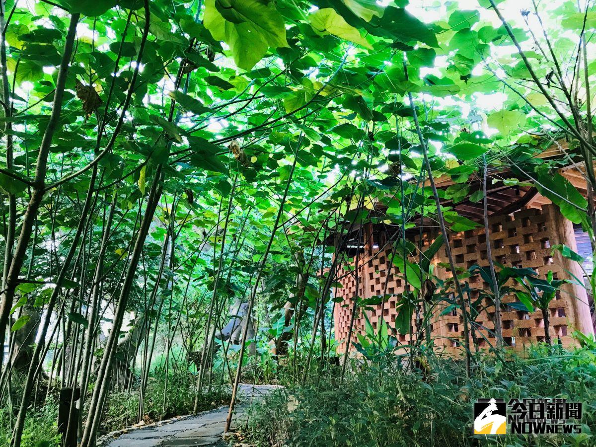 花博后里森林園區，建置永續發展家園「四口之家」，榮獲2018年倫敦設計獎銀獎(圖／建設局提供2018.11.2)