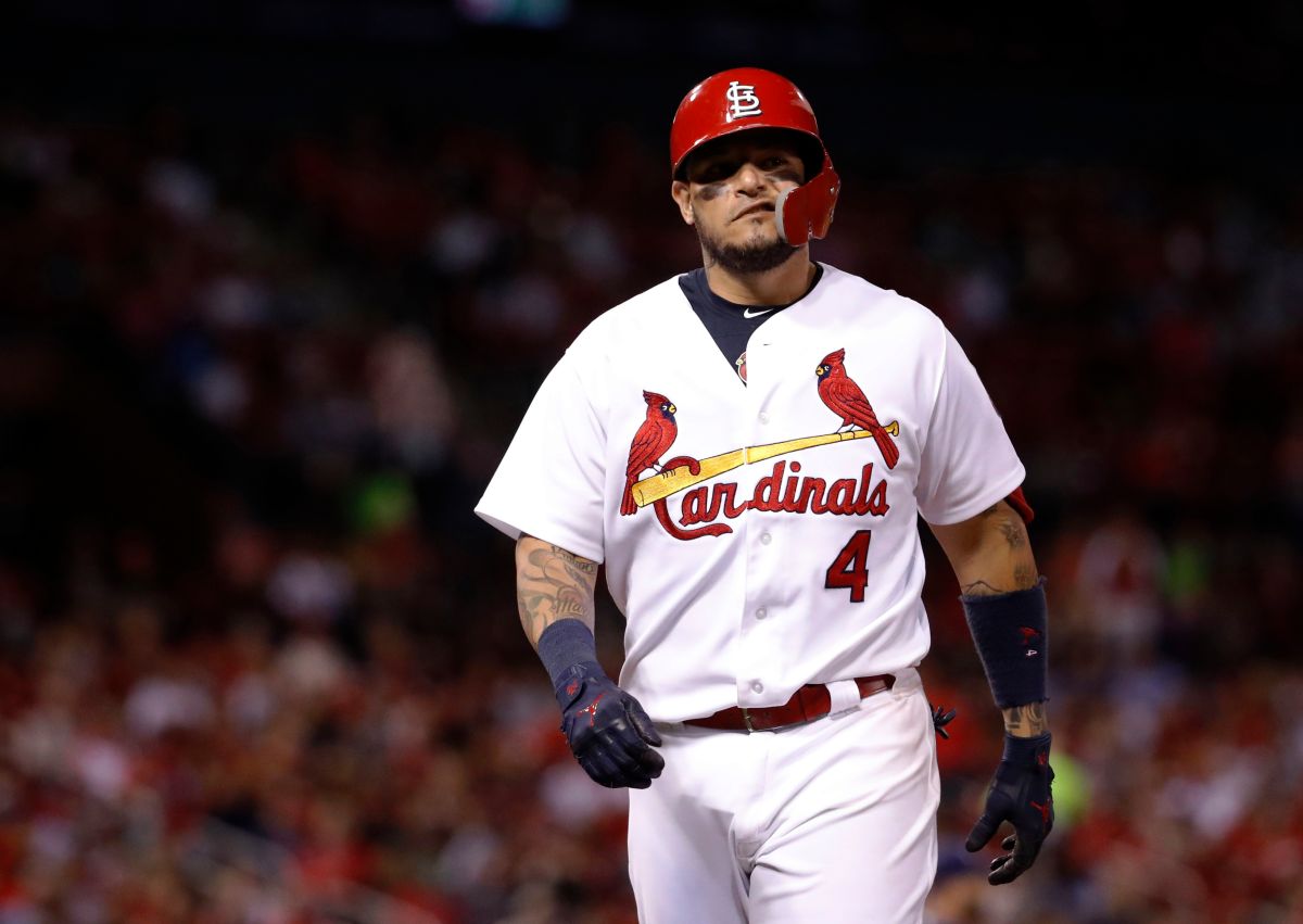 ▲Yadier Molina。（圖／美聯社／達志影像）