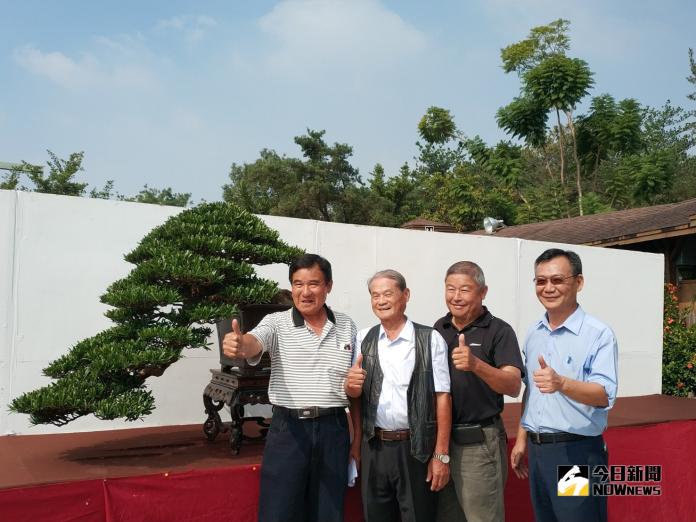 銘珠園樹石盆栽特展　千萬珍品爭奇鬥艷
