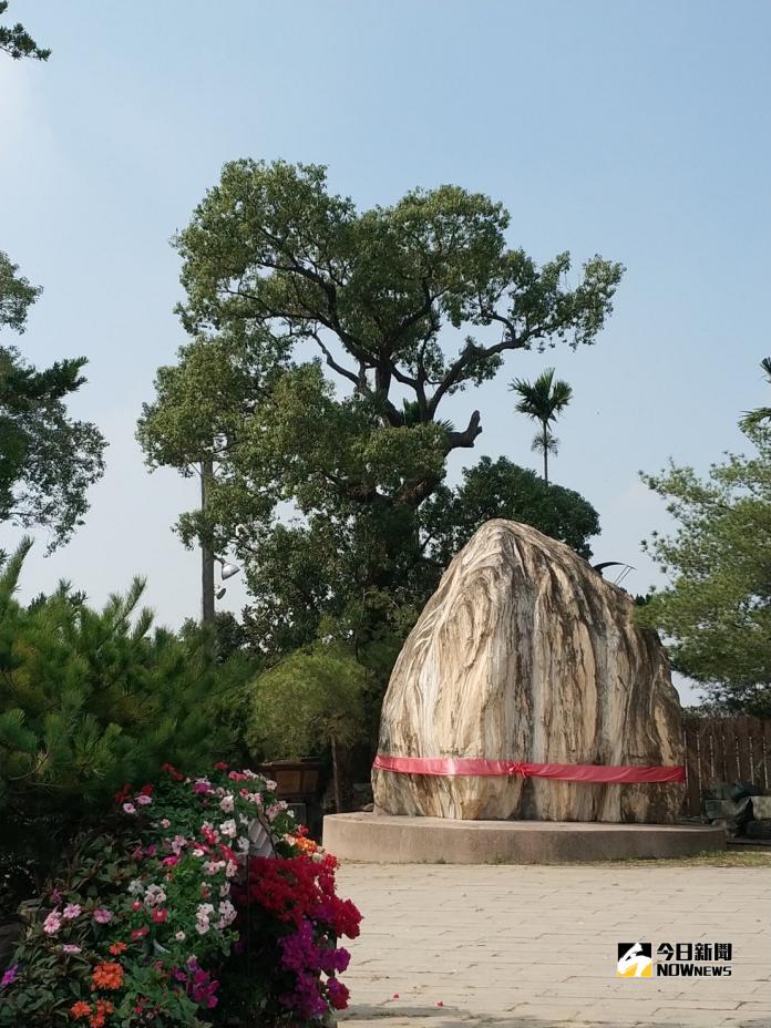 銘珠園樹石盆栽特展 千萬珍品爭奇鬥艷