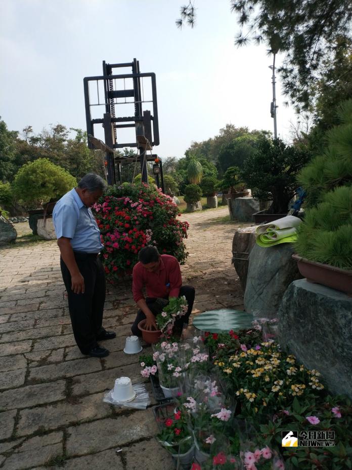 銘珠園樹石盆栽特展 千萬珍品爭奇鬥艷