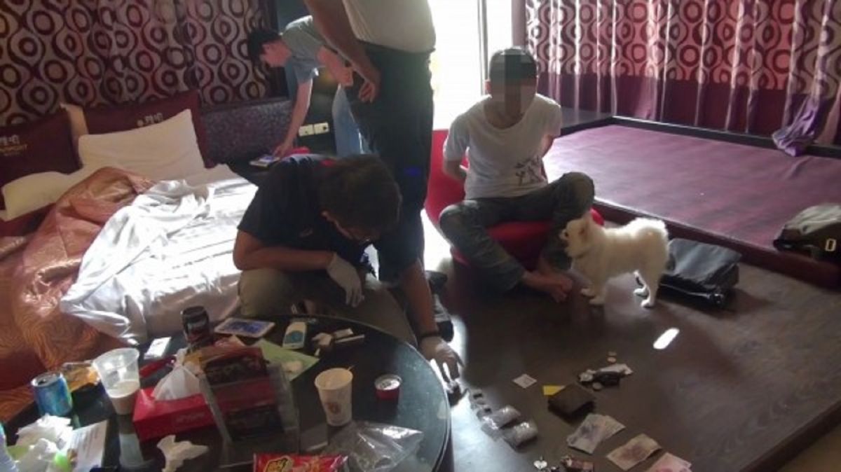 ▲當警方進入鄭姓嫌犯入住的房間搜索時，鄭嫌的博美狗叫不停，警方將鄭嫌上銬後，博美狗就乖乖的趴在鄭嫌身旁。 （圖／記者郭凱杰翻攝，2018.11.07）