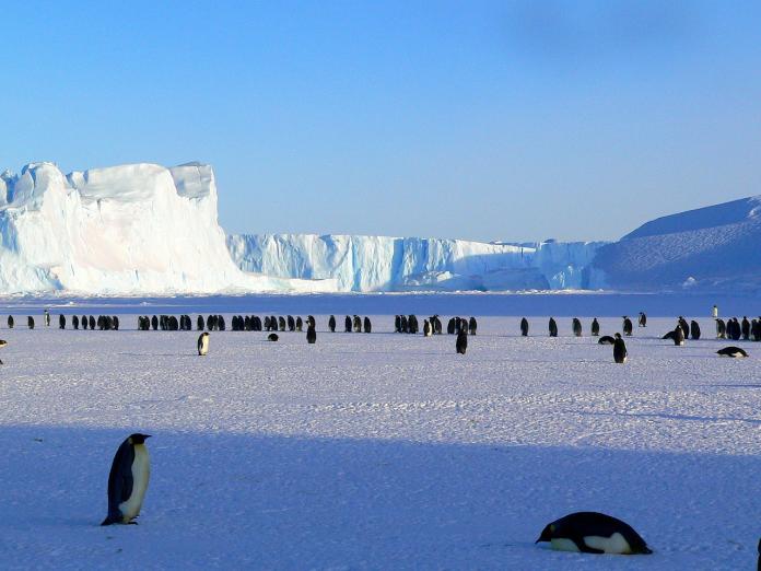 雖然同屬極地，但南北極還是有許多差異。（圖／取自Pixabay）