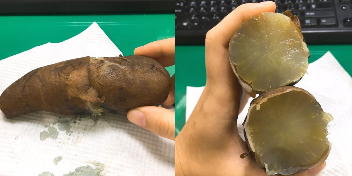 ▲網友吃到外觀和口感都像極白蘿蔔的「地瓜」，直呼「吃到快吐了」。（圖／翻攝自爆怨公社, 2018.11.22）