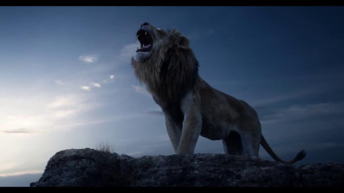 影／《獅子王》擬真版預告曝光　睽違25年傳奇經典重拍
