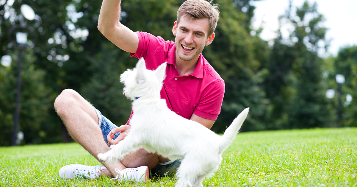 ▲秋高氣爽的天氣也有許多家庭會帶著寵物到公園散步或是草地玩耍，但飼主也須格外留意狗狗可能被壁蝨叮咬，又因抵抗力偏弱而發病。（圖／ingimage）