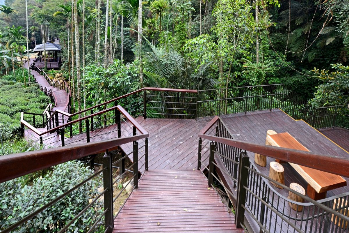 ▲嘉義縣梅山太興飛瀑步道怡人的景致。（圖／阿里山國家風景區管理處提供 , 2018.11.30）