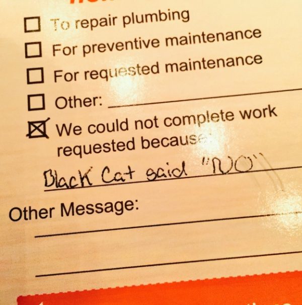 某天她請修繕人員來家裡修東西，但她回家只看到對方留下這張紙條，表示自己無法進屋，因為「黑貓說NO」！（圖／twitter＠quiet_ellie）