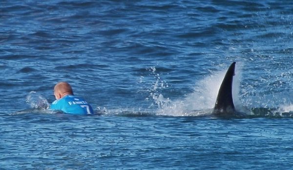 ▲ （圖／新頭殼）